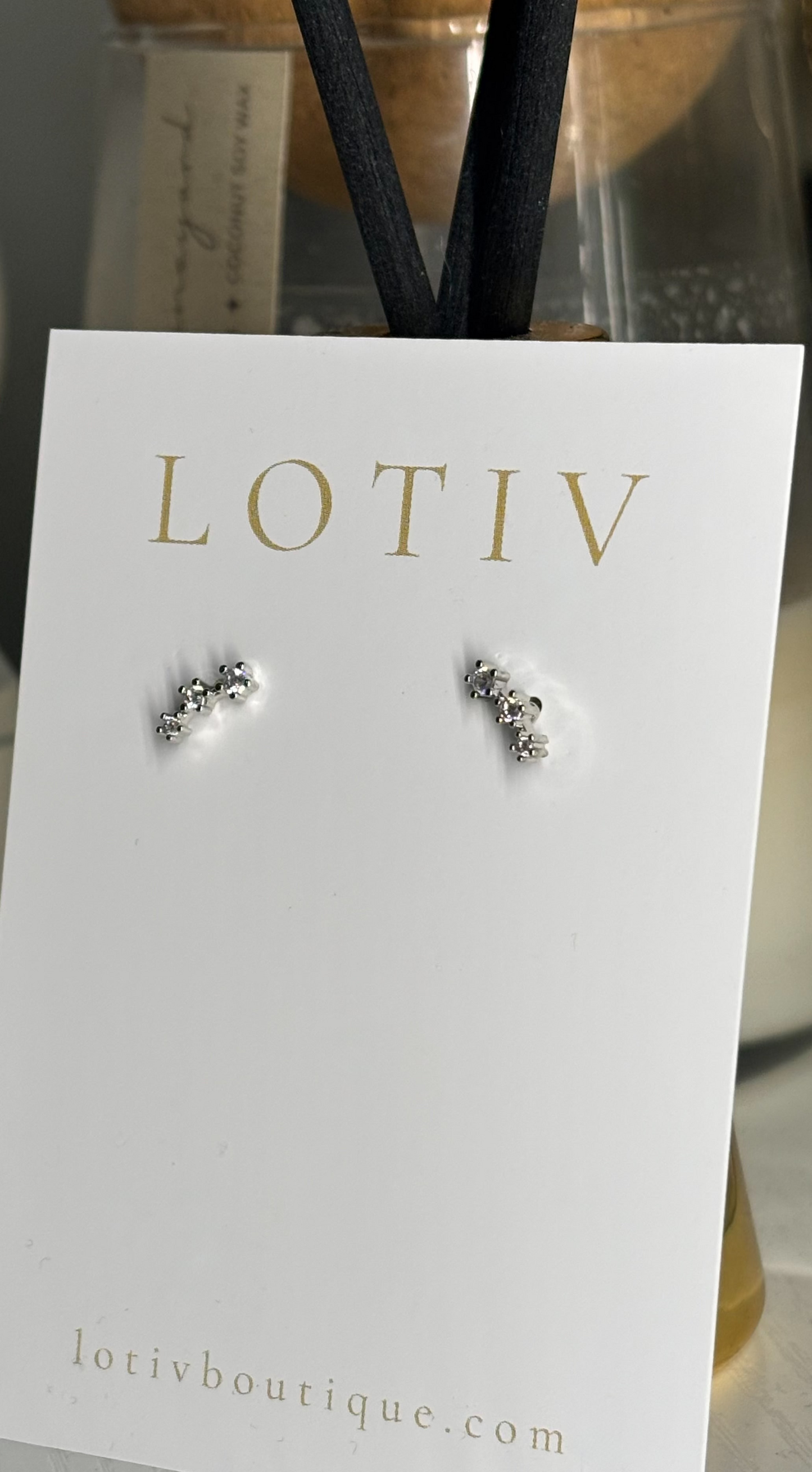 Pair of silver earrings on a 'LOTIV' climber