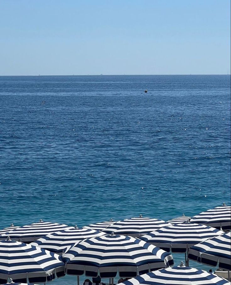 The Coastal Closet/ Collection