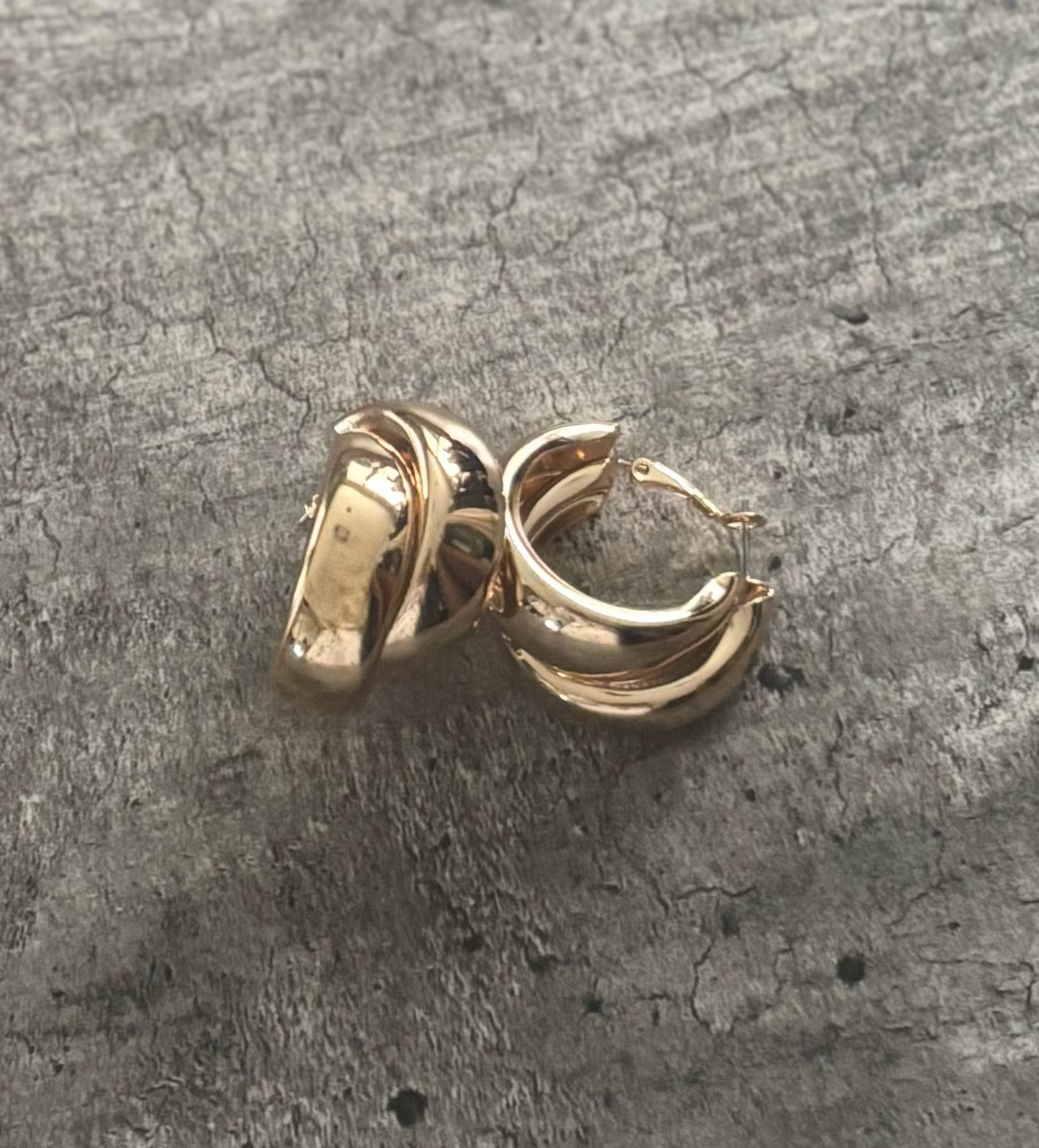 Anemoia Gold Hoop Earrings